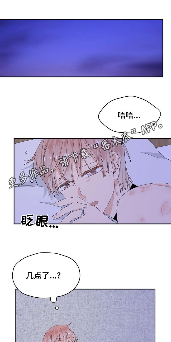 《欧米伽合约》漫画最新章节第90章：意见免费下拉式在线观看章节第【19】张图片