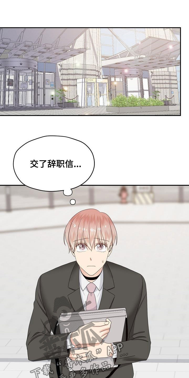 《欧米伽合约》漫画最新章节第98章：辞职信免费下拉式在线观看章节第【3】张图片