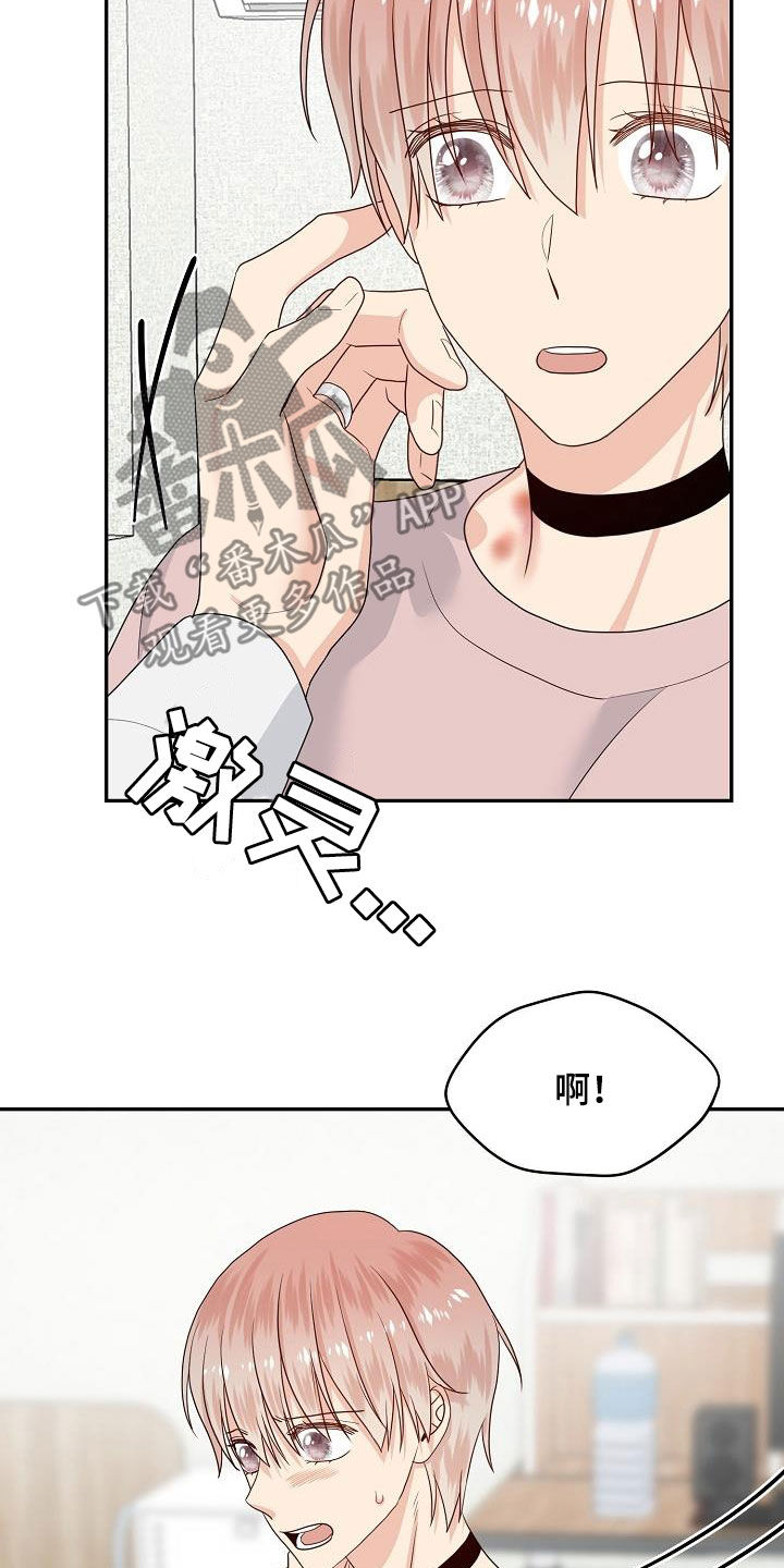 《欧米伽合约》漫画最新章节第98章：辞职信免费下拉式在线观看章节第【7】张图片