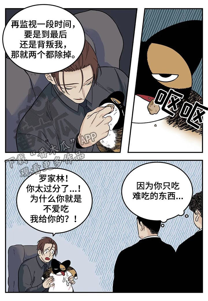 《老大的打火机》漫画最新章节第43章：为我考虑免费下拉式在线观看章节第【9】张图片