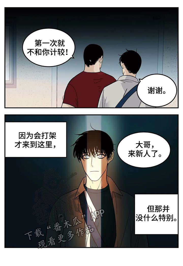 《老大的打火机》漫画最新章节第55章：新人免费下拉式在线观看章节第【3】张图片