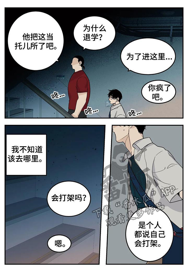 《老大的打火机》漫画最新章节第55章：新人免费下拉式在线观看章节第【6】张图片