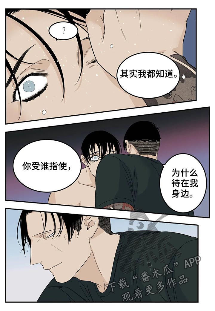 《老大的打火机》漫画最新章节第70章：让你别说话免费下拉式在线观看章节第【10】张图片