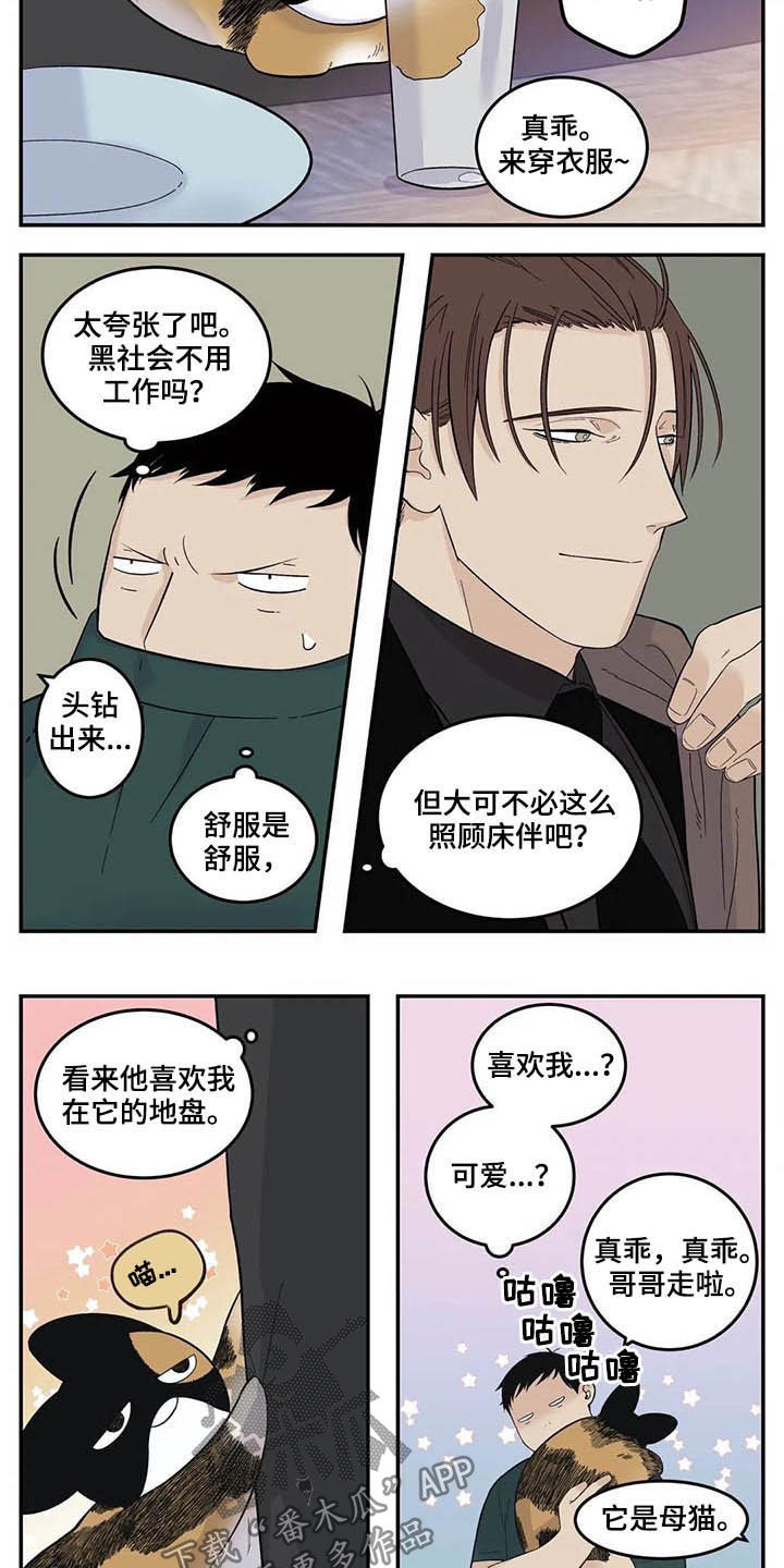 《老大的打火机》漫画最新章节第73章：粗鲁免费下拉式在线观看章节第【5】张图片