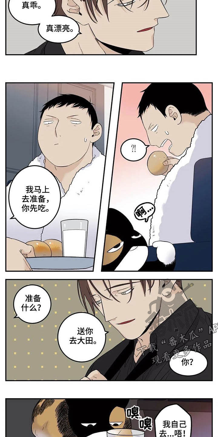 《老大的打火机》漫画最新章节第73章：粗鲁免费下拉式在线观看章节第【6】张图片