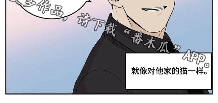 《老大的打火机》漫画最新章节第74章：像对猫一样免费下拉式在线观看章节第【1】张图片