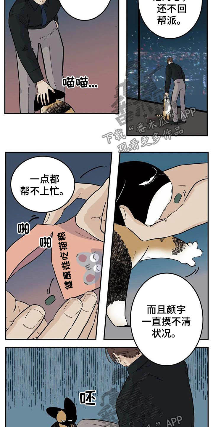 《老大的打火机》漫画最新章节第81章：流浪动物免费下拉式在线观看章节第【4】张图片