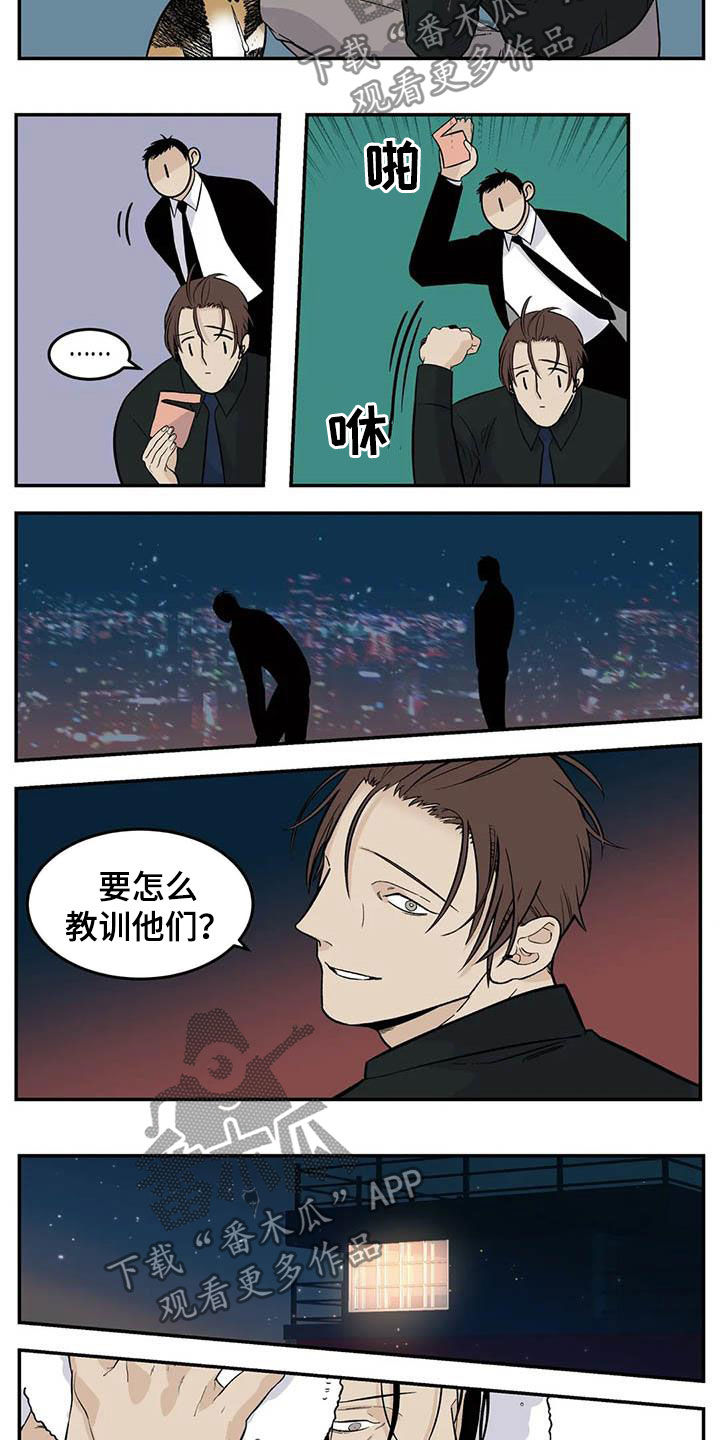 《老大的打火机》漫画最新章节第81章：流浪动物免费下拉式在线观看章节第【3】张图片