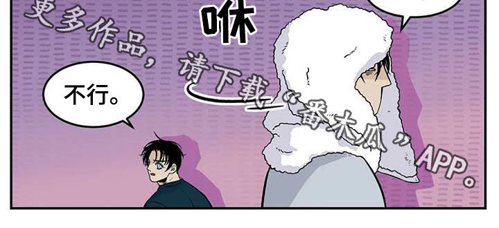 《老大的打火机》漫画最新章节第81章：流浪动物免费下拉式在线观看章节第【1】张图片