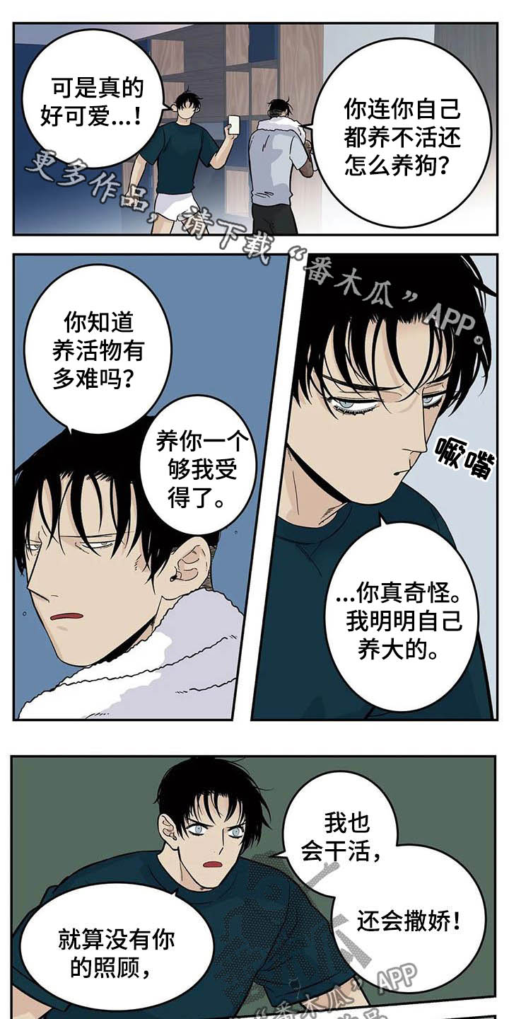 《老大的打火机》漫画最新章节第82章：一天一次亲亲免费下拉式在线观看章节第【7】张图片