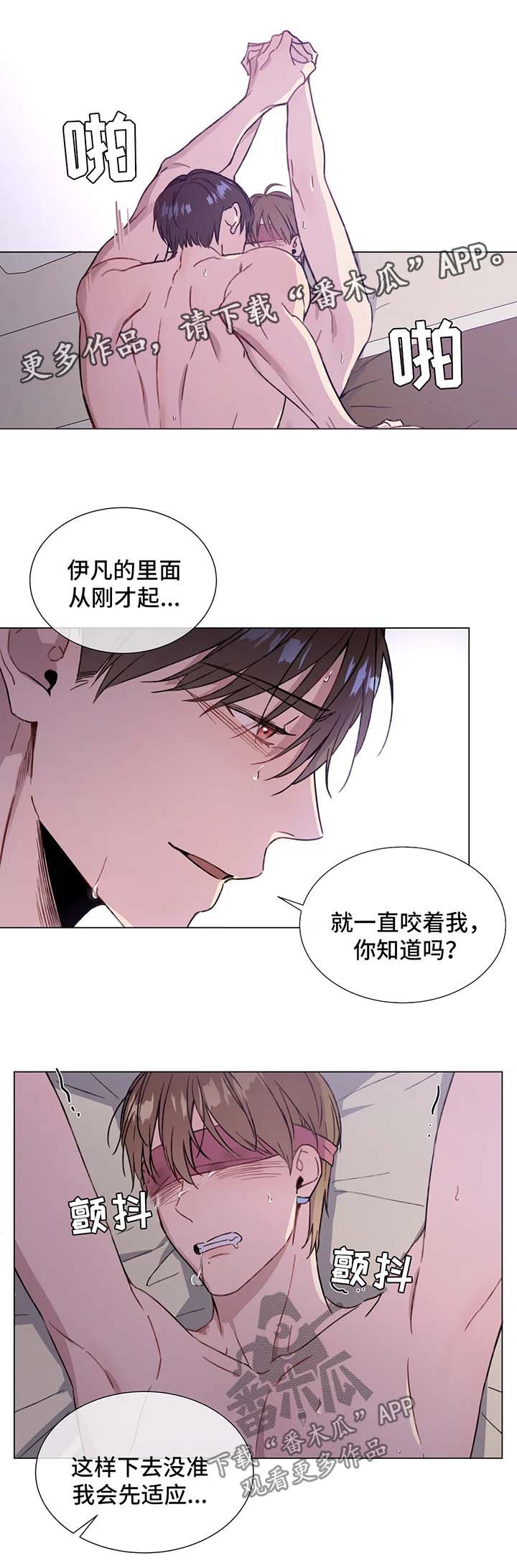 《我的全部》漫画最新章节第53章：职责免费下拉式在线观看章节第【5】张图片