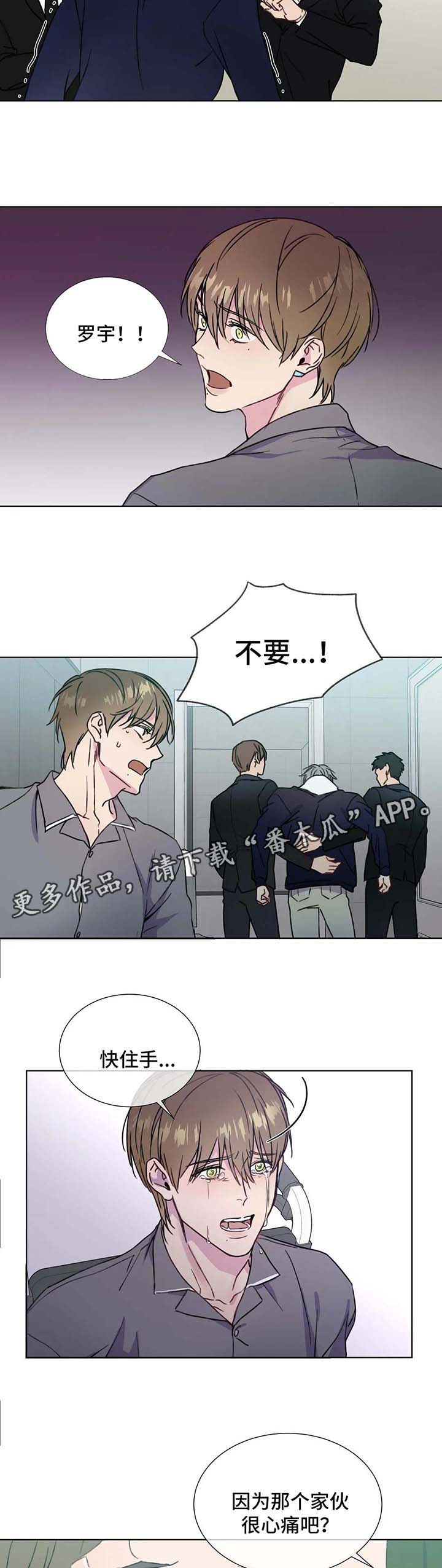 《我的全部》漫画最新章节第59章：心痛免费下拉式在线观看章节第【2】张图片