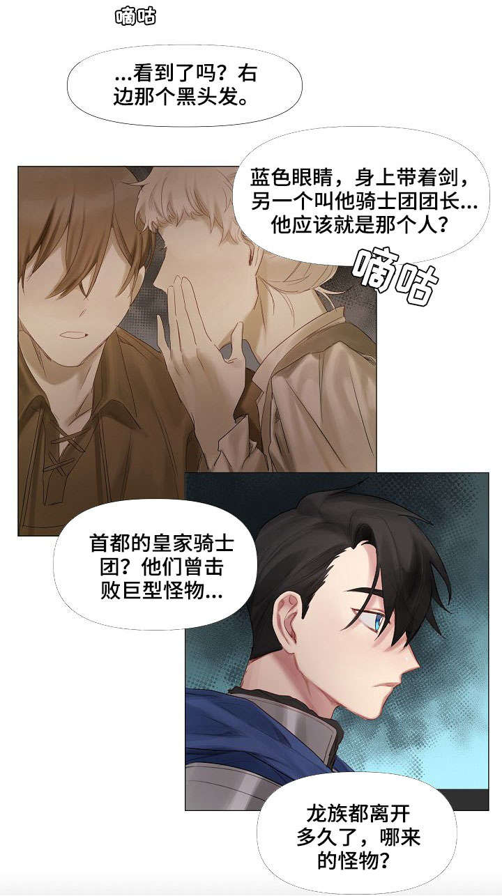 《皇家骑士》漫画最新章节第1章：迷路免费下拉式在线观看章节第【8】张图片