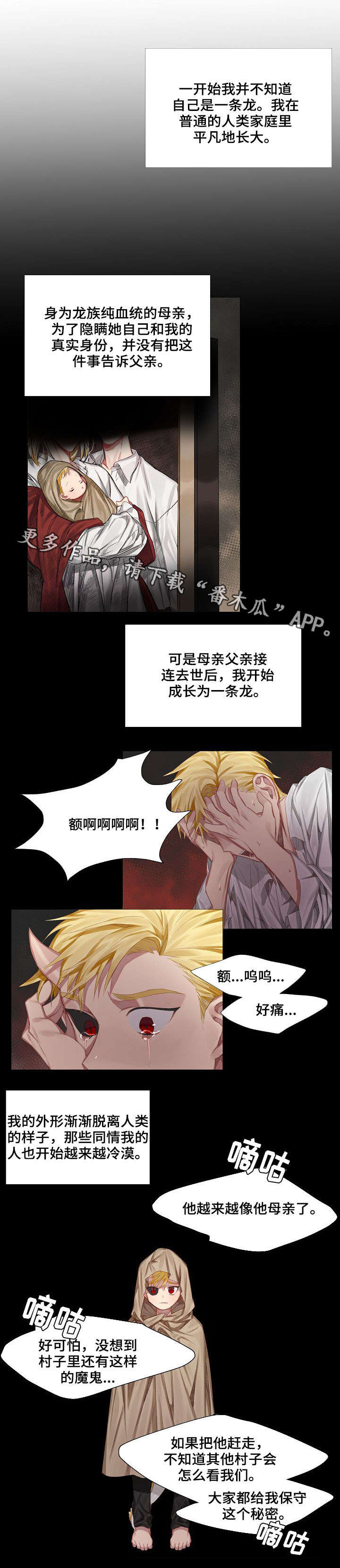 《皇家骑士》漫画最新章节第3章：初见免费下拉式在线观看章节第【9】张图片