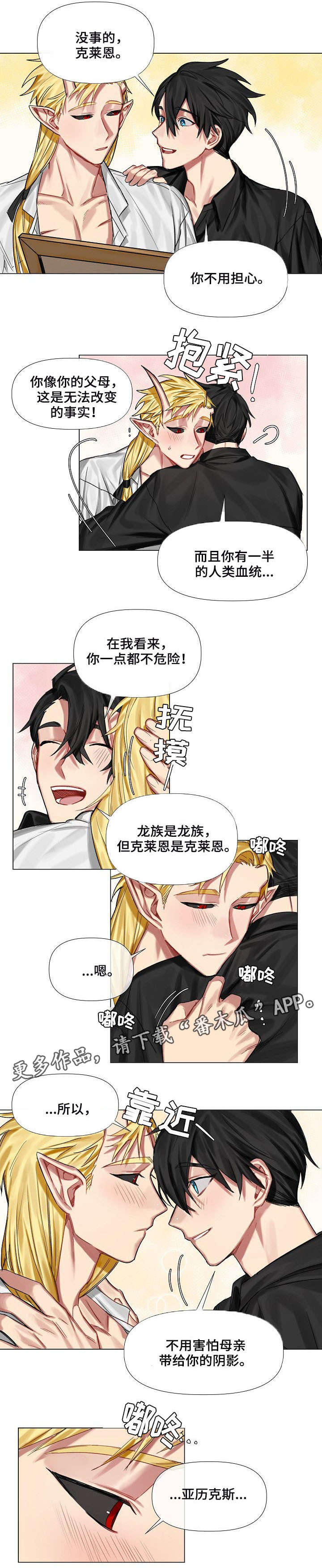 《皇家骑士》漫画最新章节第9章：画像免费下拉式在线观看章节第【4】张图片