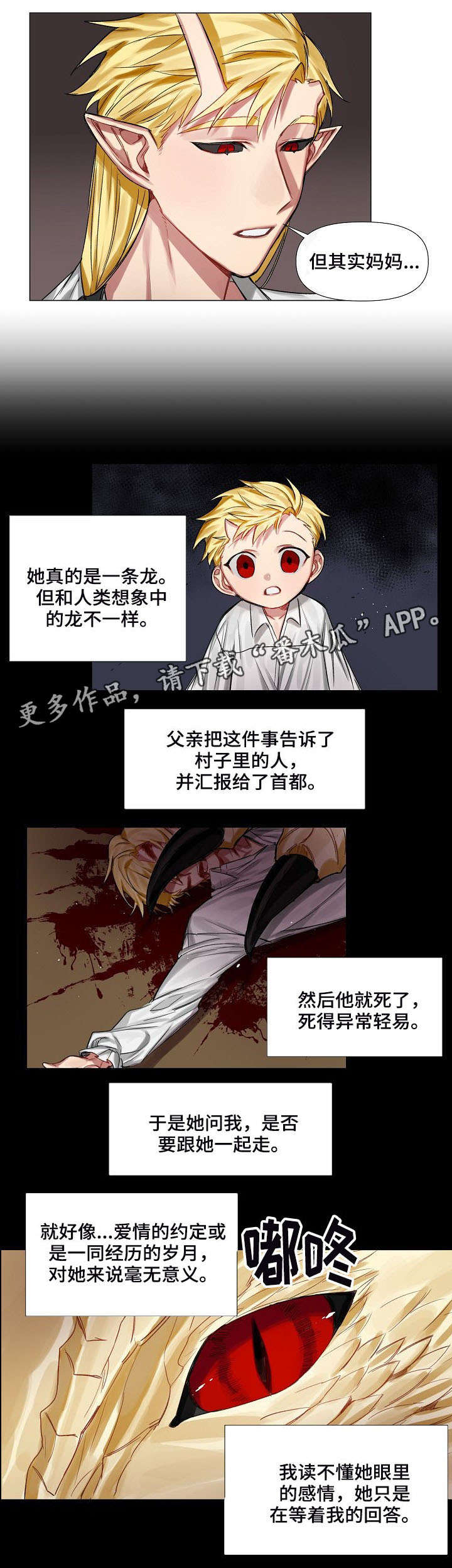 《皇家骑士》漫画最新章节第9章：画像免费下拉式在线观看章节第【6】张图片