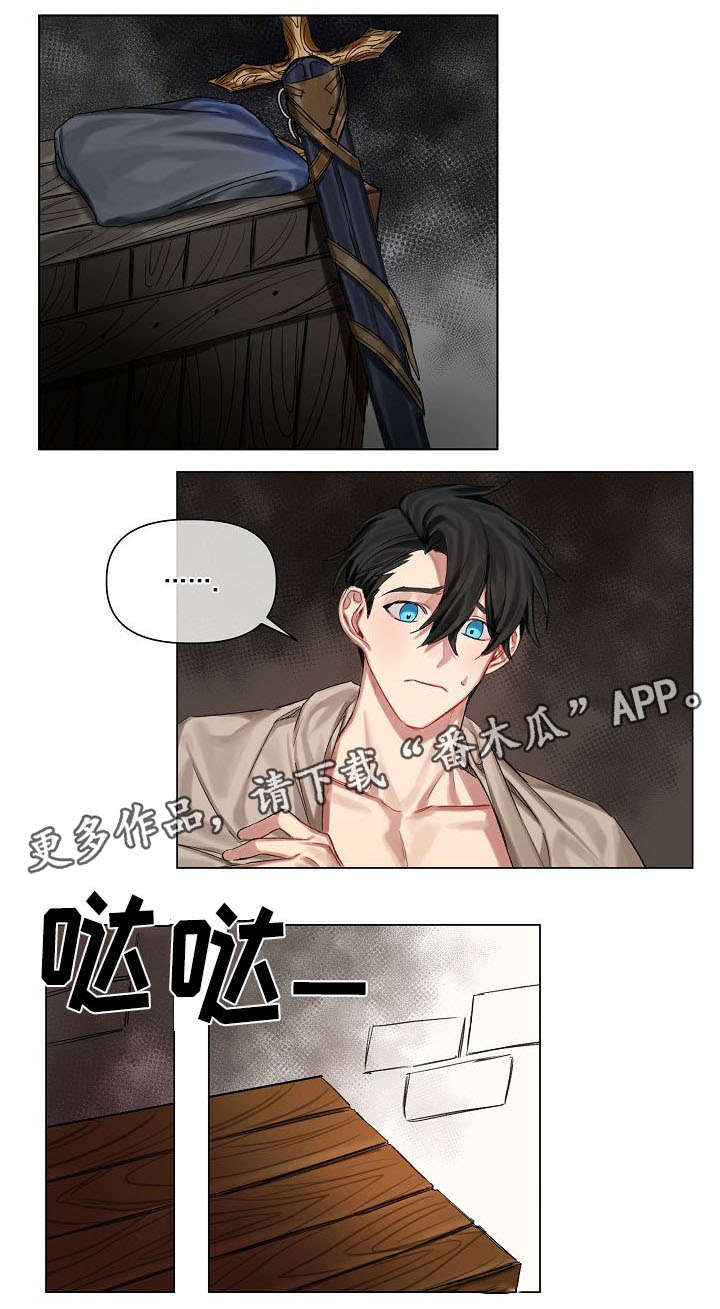 《皇家骑士》漫画最新章节第12章：入侵者免费下拉式在线观看章节第【6】张图片