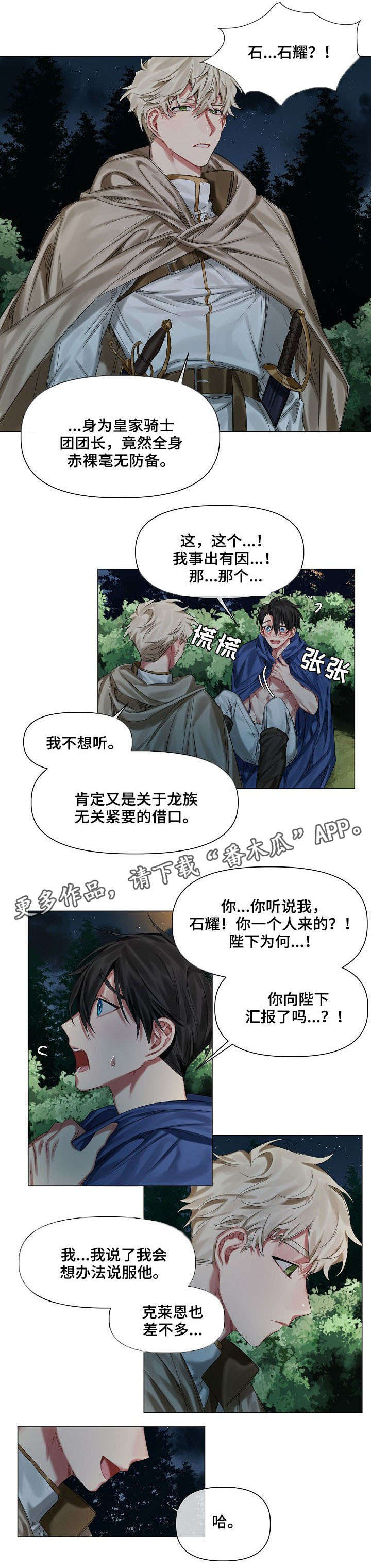 《皇家骑士》漫画最新章节第13章：弟弟免费下拉式在线观看章节第【4】张图片