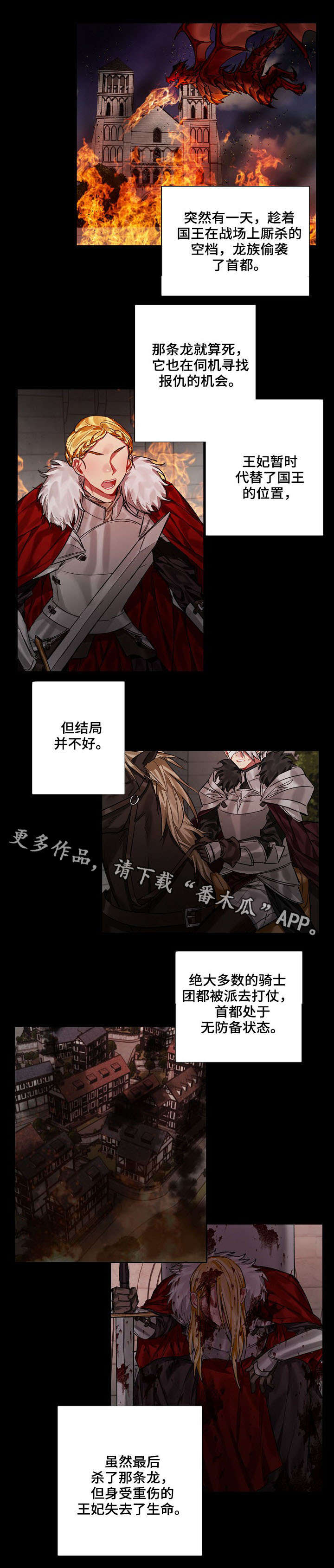 《皇家骑士》漫画最新章节第18章：王与龙免费下拉式在线观看章节第【1】张图片