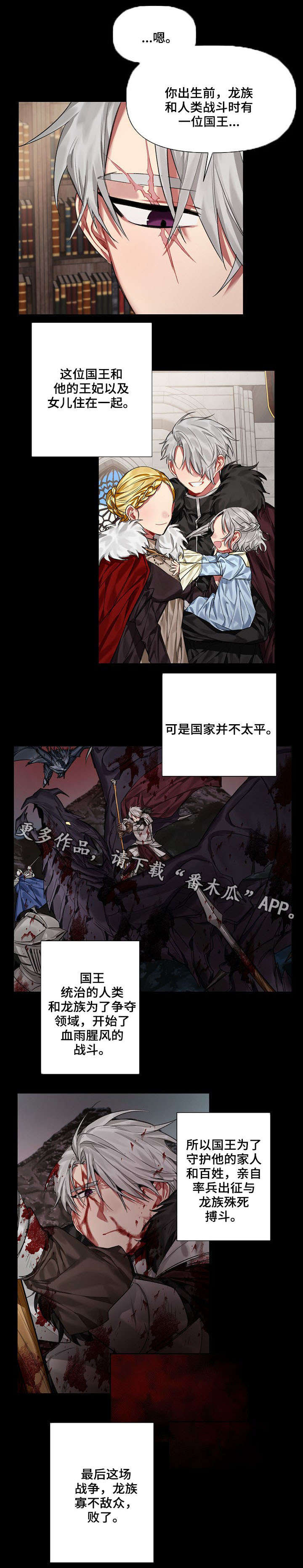 《皇家骑士》漫画最新章节第18章：王与龙免费下拉式在线观看章节第【2】张图片