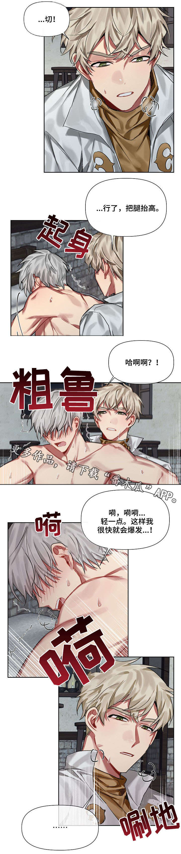 《皇家骑士》漫画最新章节第19章：爱慕免费下拉式在线观看章节第【3】张图片