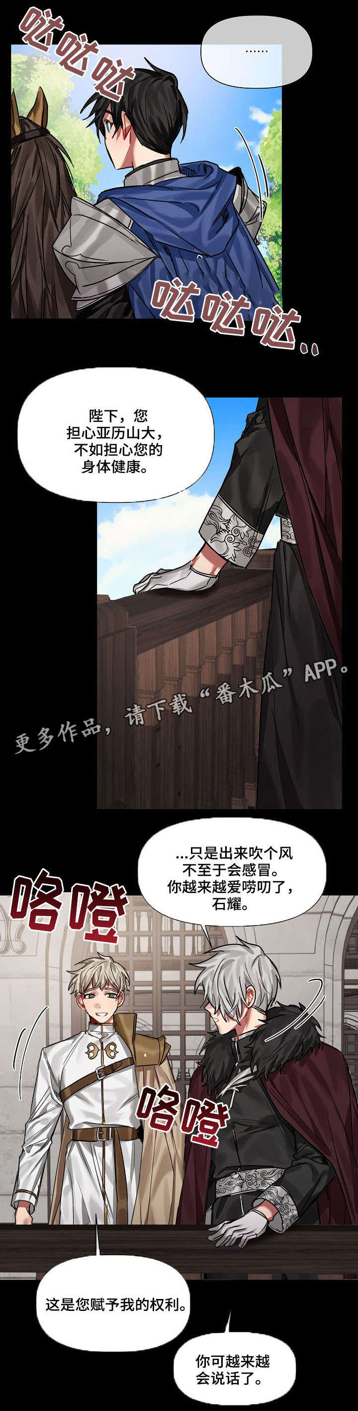 《皇家骑士》漫画最新章节第19章：爱慕免费下拉式在线观看章节第【8】张图片