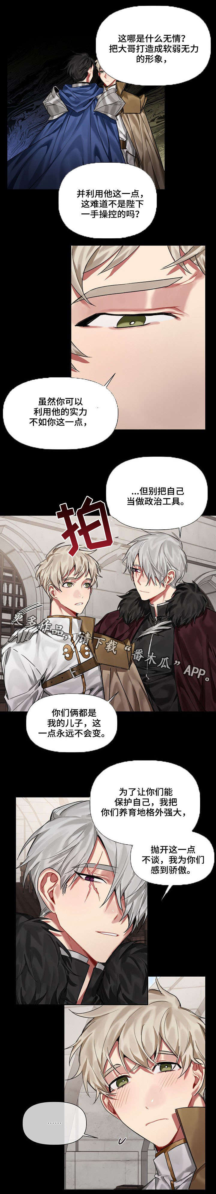 《皇家骑士》漫画最新章节第19章：爱慕免费下拉式在线观看章节第【6】张图片