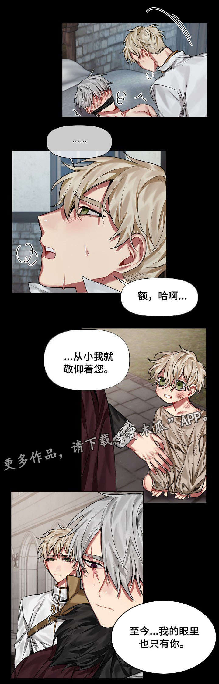 《皇家骑士》漫画最新章节第20章：魔法石免费下拉式在线观看章节第【8】张图片