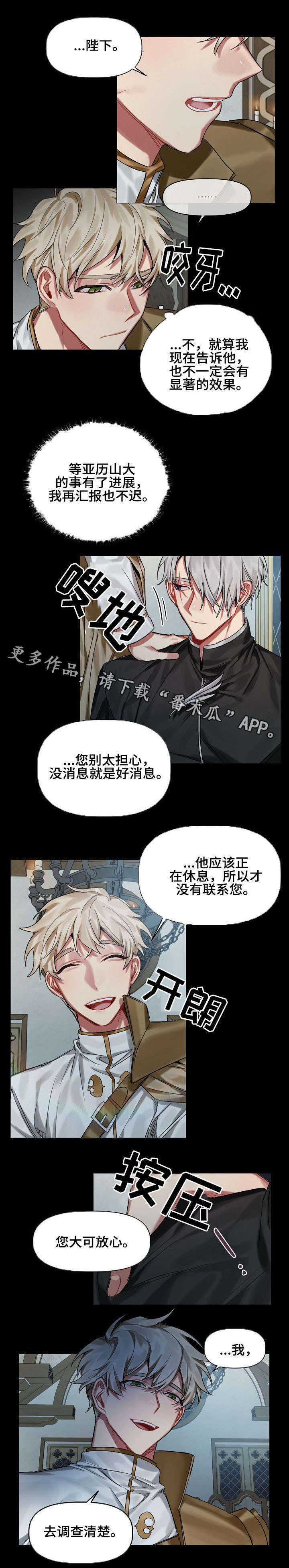 《皇家骑士》漫画最新章节第21章：调查免费下拉式在线观看章节第【7】张图片