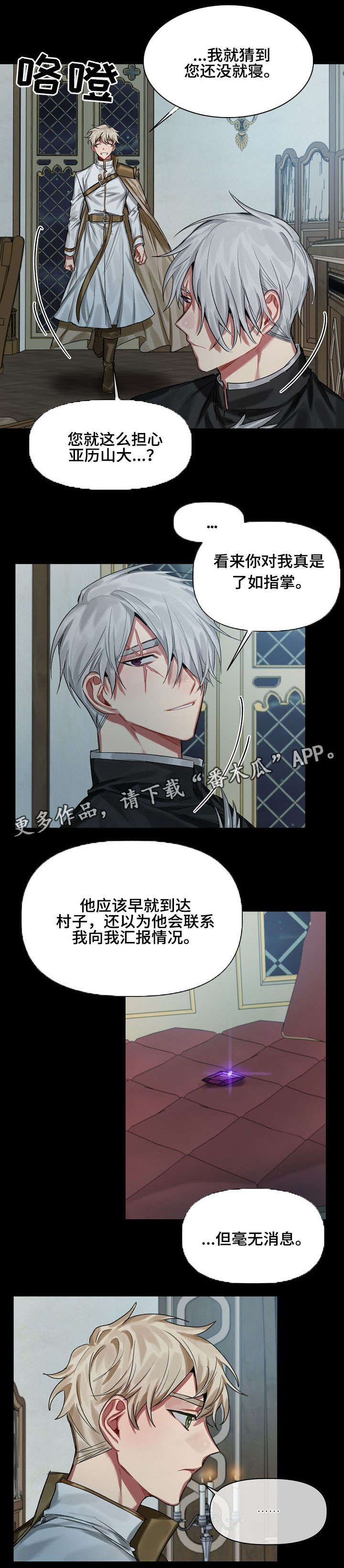 《皇家骑士》漫画最新章节第21章：调查免费下拉式在线观看章节第【8】张图片