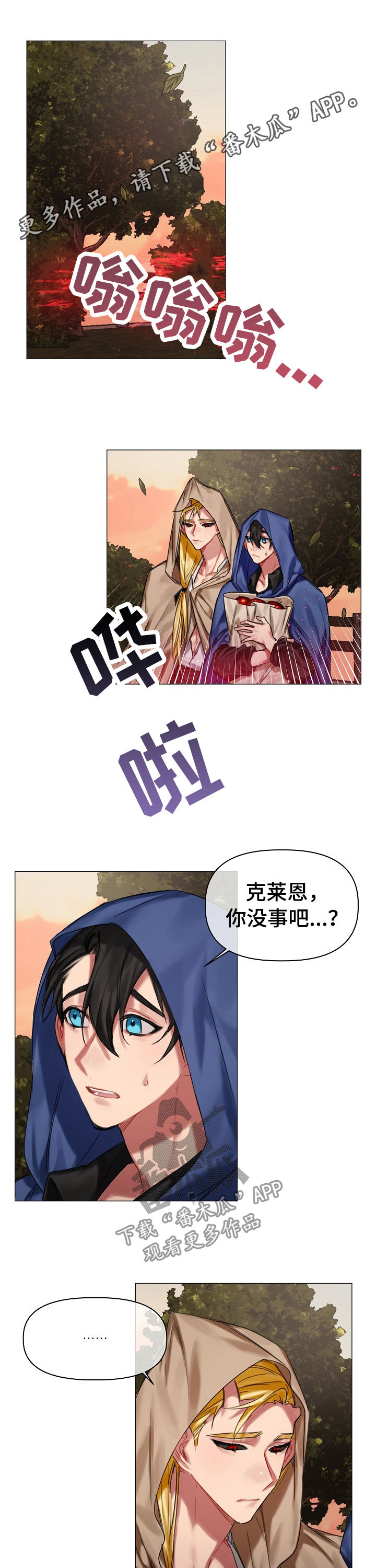 《皇家骑士》漫画最新章节第27章：你是谁免费下拉式在线观看章节第【8】张图片