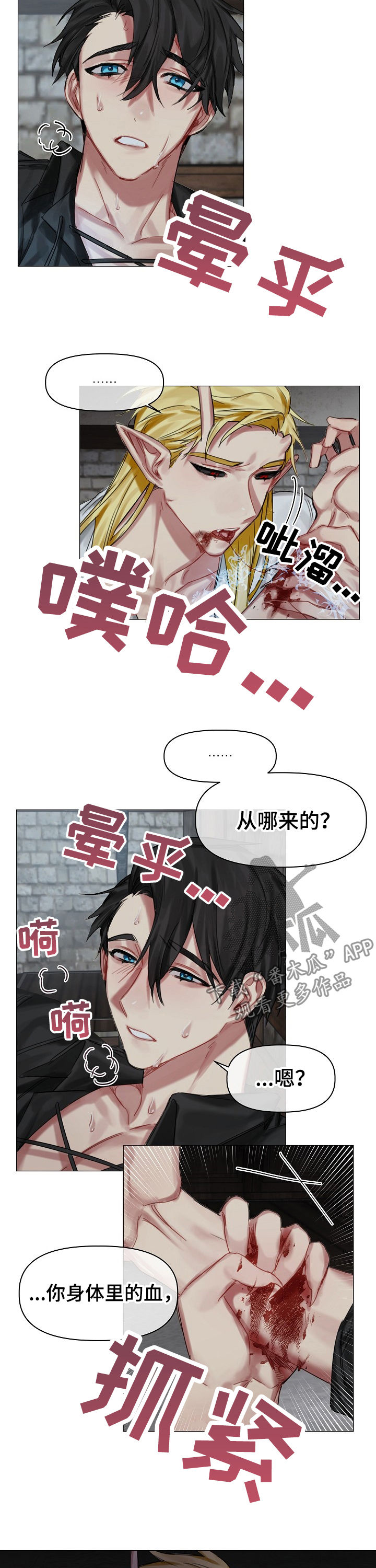 《皇家骑士》漫画最新章节第27章：你是谁免费下拉式在线观看章节第【2】张图片