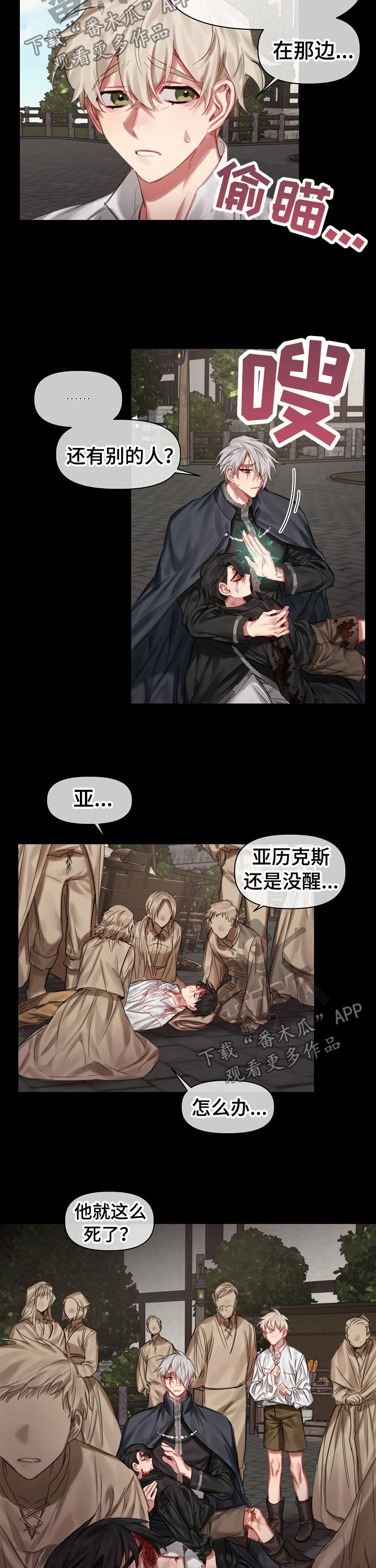 《皇家骑士》漫画最新章节第29章：二选一免费下拉式在线观看章节第【4】张图片