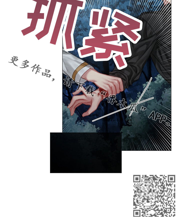 《皇家骑士》漫画最新章节第30章：我不是他免费下拉式在线观看章节第【1】张图片