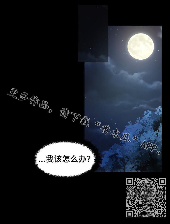 《皇家骑士》漫画最新章节第31章：我爱他免费下拉式在线观看章节第【1】张图片