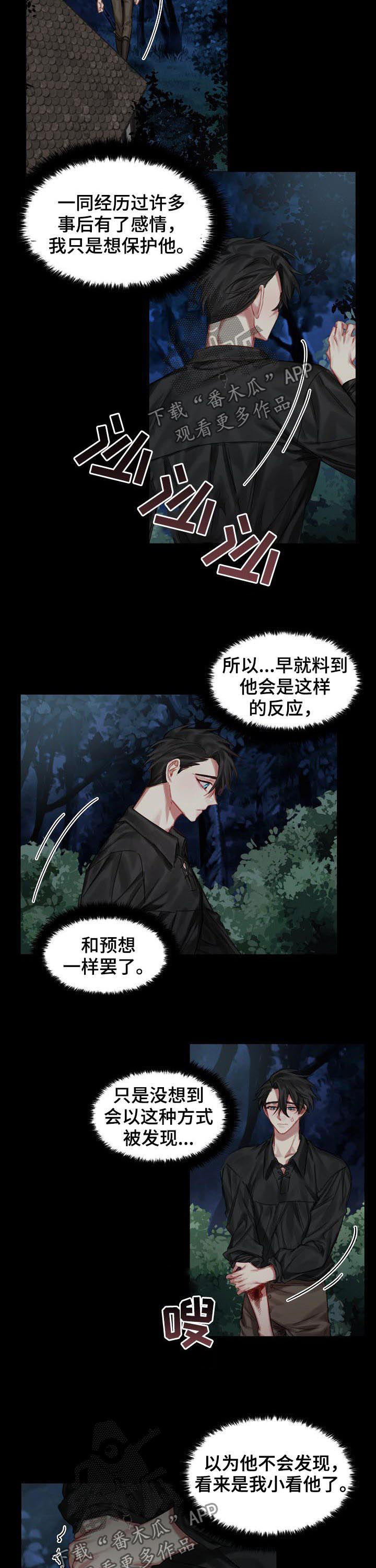 《皇家骑士》漫画最新章节第31章：我爱他免费下拉式在线观看章节第【7】张图片