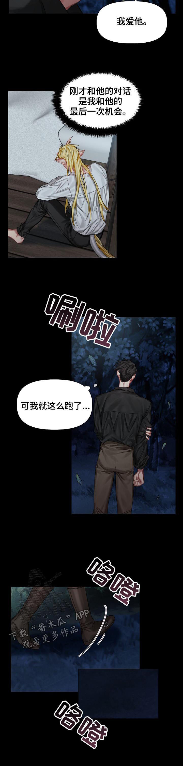 《皇家骑士》漫画最新章节第31章：我爱他免费下拉式在线观看章节第【2】张图片