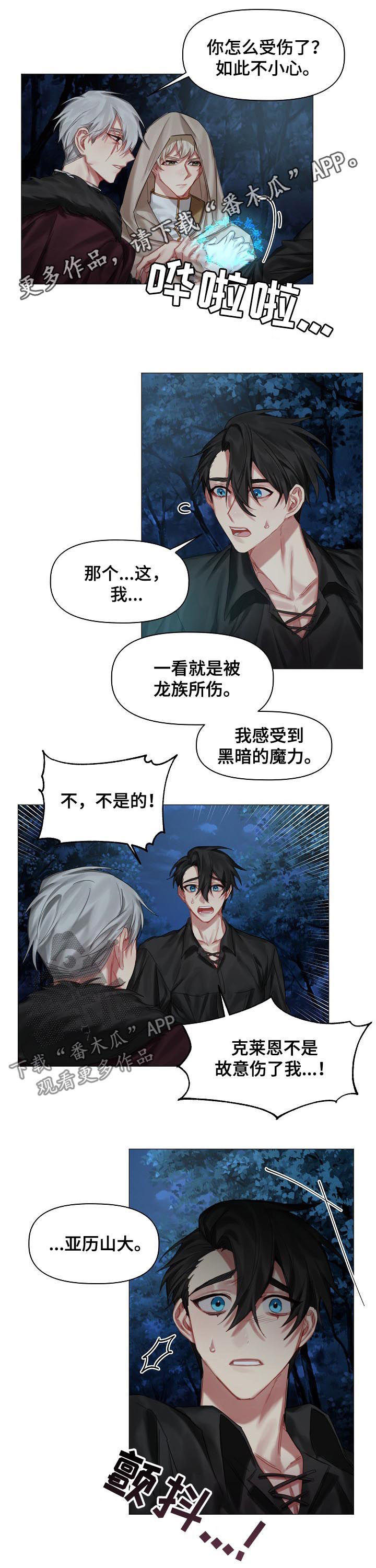 《皇家骑士》漫画最新章节第33章：没有理由免费下拉式在线观看章节第【9】张图片