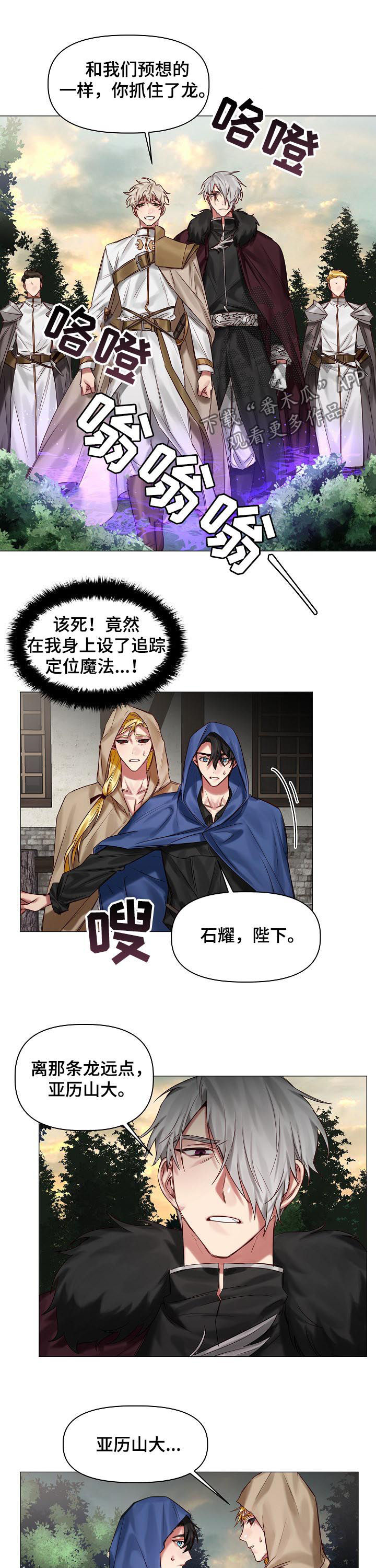 《皇家骑士》漫画最新章节第38章：等很久了免费下拉式在线观看章节第【7】张图片