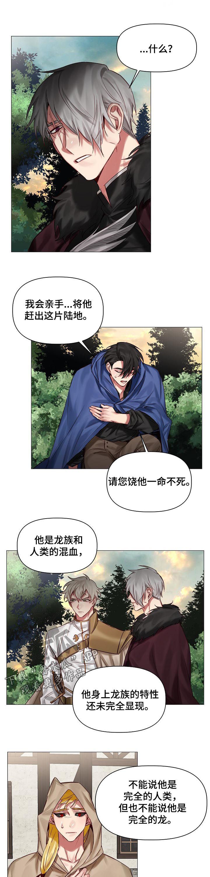 《皇家骑士》漫画最新章节第38章：等很久了免费下拉式在线观看章节第【5】张图片