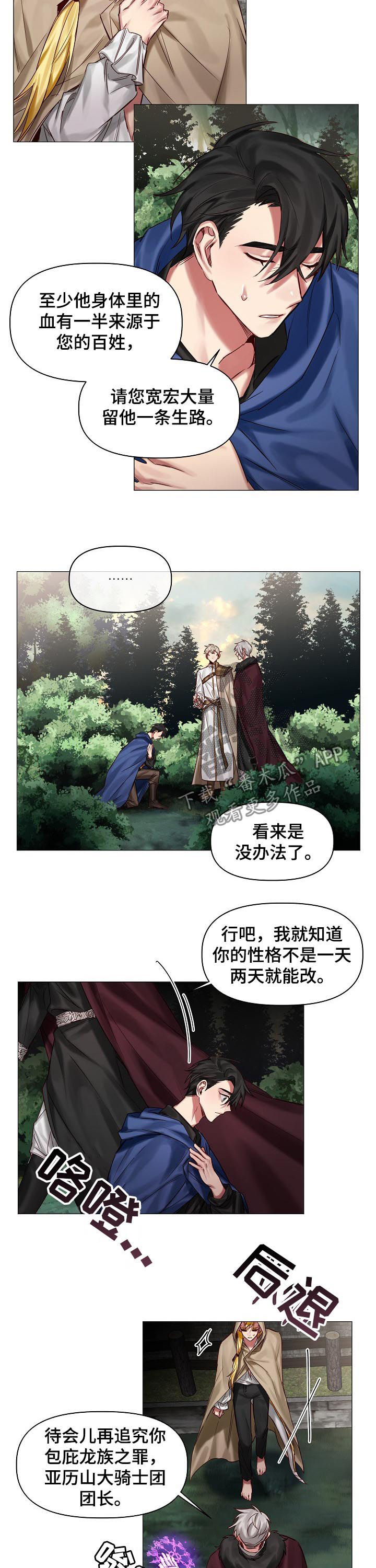 《皇家骑士》漫画最新章节第38章：等很久了免费下拉式在线观看章节第【4】张图片