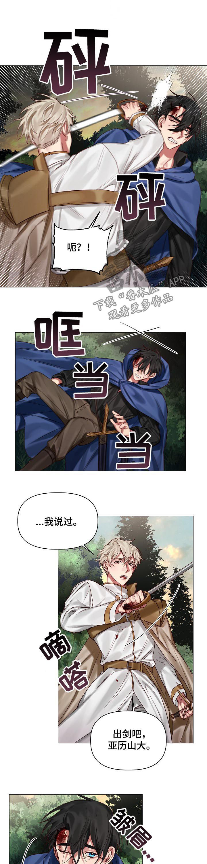 《皇家骑士》漫画最新章节第39章：刀剑相向免费下拉式在线观看章节第【3】张图片