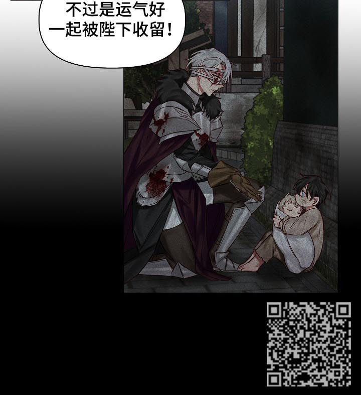 《皇家骑士》漫画最新章节第39章：刀剑相向免费下拉式在线观看章节第【1】张图片