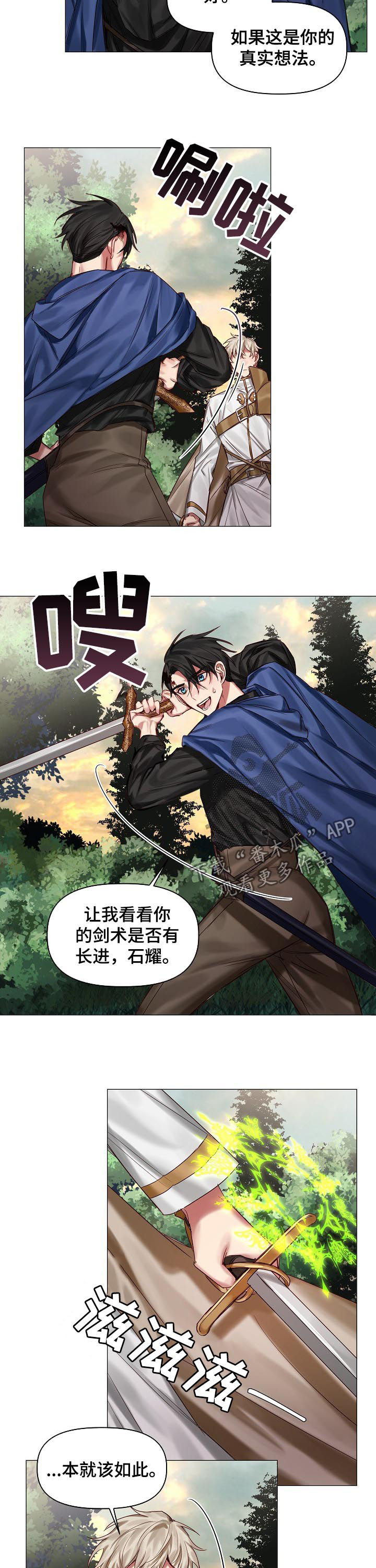 《皇家骑士》漫画最新章节第40章：保守的手段免费下拉式在线观看章节第【8】张图片