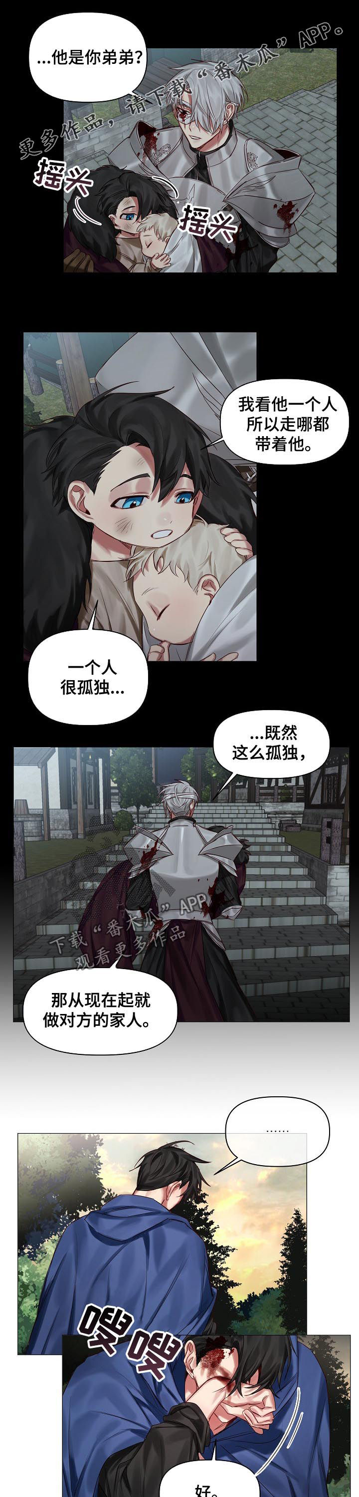 《皇家骑士》漫画最新章节第40章：保守的手段免费下拉式在线观看章节第【9】张图片