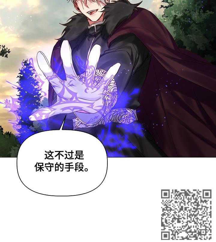 《皇家骑士》漫画最新章节第40章：保守的手段免费下拉式在线观看章节第【1】张图片