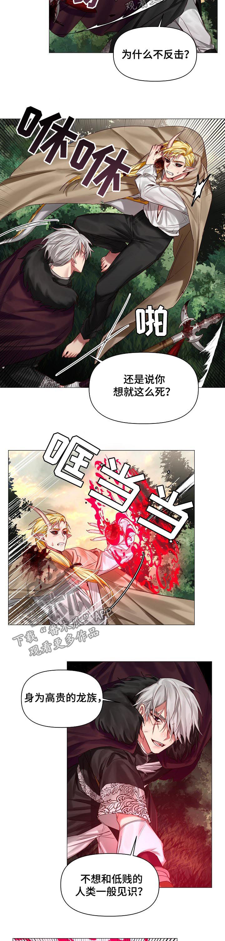 《皇家骑士》漫画最新章节第40章：保守的手段免费下拉式在线观看章节第【5】张图片