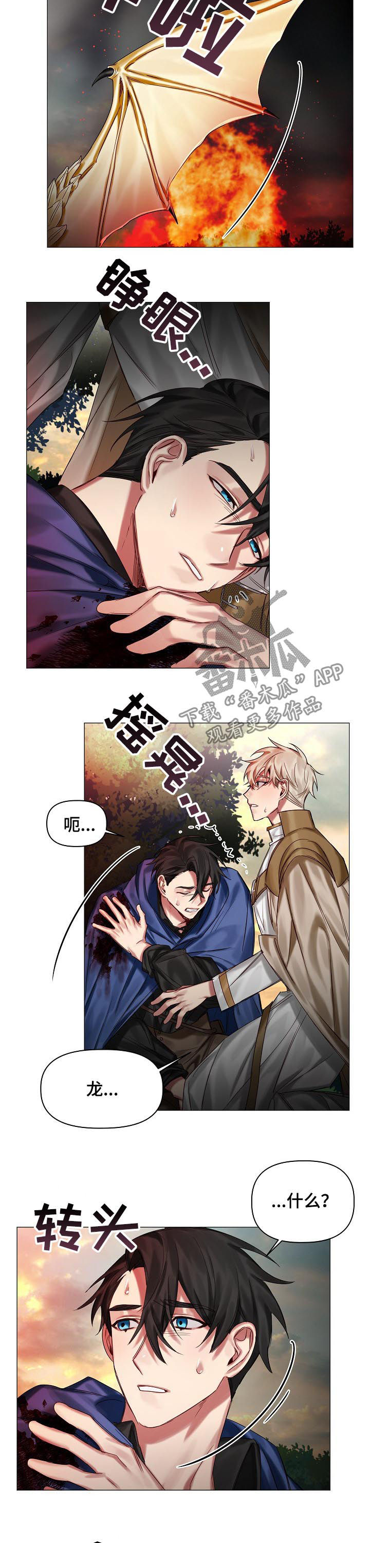 《皇家骑士》漫画最新章节第42章：化龙免费下拉式在线观看章节第【2】张图片