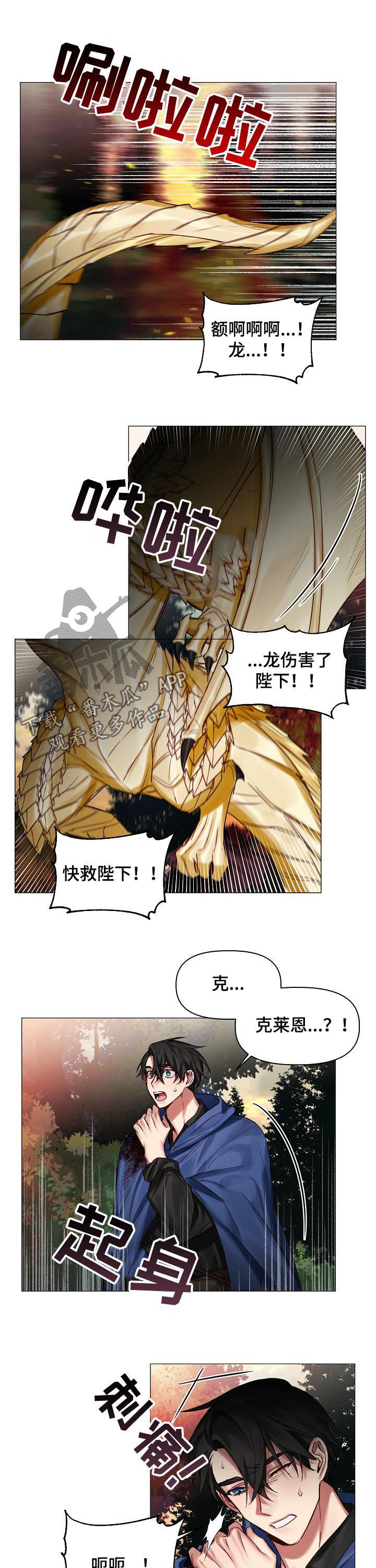 《皇家骑士》漫画最新章节第43章：带我也去免费下拉式在线观看章节第【3】张图片