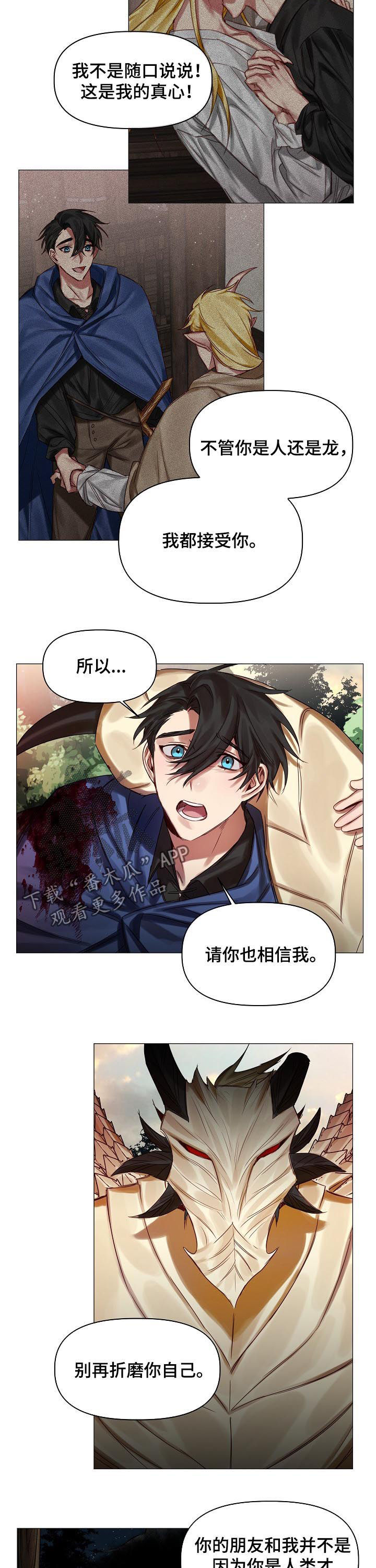 《皇家骑士》漫画最新章节第45章：慢慢了解免费下拉式在线观看章节第【4】张图片